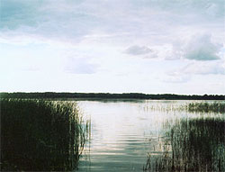 На Шацьких озерах дозволили рибалити за гроші На Шацьких озерах дозволили рибалити за гроші