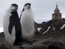 Купол церкви з позолоченим православним хрестом на високому пагорбі - перше, що побачиш з теплохода, який доставляє до Антарктиди туристів-екстремалів Купол церкви з позолоченим православним хрестом на високому пагорбі - перше, що побачиш з теплохода, який доставляє до Антарктиди туристів-екстремалів