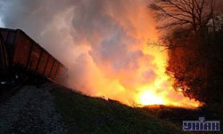 Для львівян є дві новини: погана - те, що отруїв форсфор вже отруєно; добра - наступного року буде гарний врожай Для львівян є дві новини: погана - те, що отруїв форсфор вже отруєно; добра - наступного року буде гарний врожай