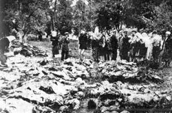 Другого більшовицького геноциду Україна не витримає Другого більшовицького геноциду Україна не витримає