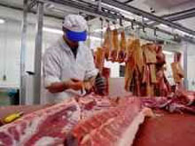 Заради окозамилювання громадянам перед виборами, уряд-банкрут спустошує Держрезерв Заради окозамилювання громадянам перед виборами, уряд-банкрут спустошує Держрезерв