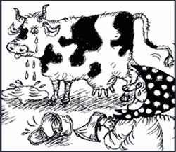 Гримаси вітчизняного “бізнесу”. Переробники винищують молочну галузь