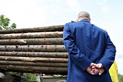 Карпатських лісорубів посадять? Карпатських лісорубів посадять?