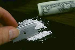 СБУ пов'язало чергову банду наркоділків СБУ пов'язало чергову банду наркоділків