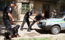 В Україні знешкодили організацію російських рейдерів В Україні знешкодили організацію російських рейдерів