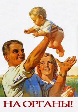 СБУ упіймало банду. Продавали дітей на органи СБУ упіймало банду. Продавали дітей на органи