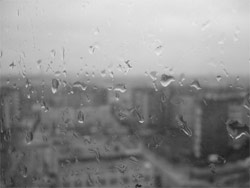 На Україну насуваються дощі На Україну насуваються дощі