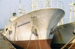 Януковичем назвали сейнер Януковичем назвали сейнер