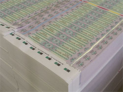 Перетягування портфелю і вибори. Комбінат “Україна” став місцем розборок