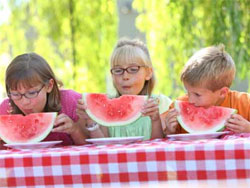 Як з’їсти кавуна, та й ще не отруїтися? Держава умиває руки