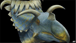 Вчені знайшли п’ятнадцятирога Вчені знайшли п’ятнадцятирога