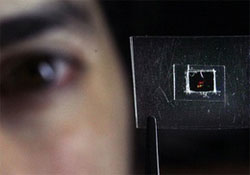 Британським ученим вперше вдалося зробити предмет невидимим Британським ученим вперше вдалося зробити предмет невидимим