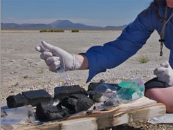 Вчені виявили бактерії, які змінюють уяви про життя Вчені виявили бактерії, які змінюють уяви про життя