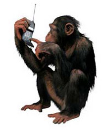 Половина британців не зможуть зателефонувати найкращому другові без телефонного книги