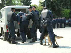 “Орли Могильова” посилено “готуються” до ЄВРО-2012? “Орли Могильова” посилено “готуються” до ЄВРО-2012?