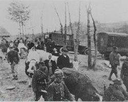 Українці, яких Сталін виселив із Польщі, вимагають визнати себе депортованими Українці, яких Сталін виселив із Польщі, вимагають визнати себе депортованими