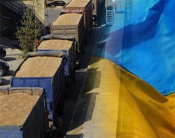 “Ринкове” мислення проФФесіоналів “Ринкове” мислення проФФесіоналів