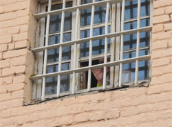 “Батькіщина” заявила, що влада фізично знищує політв’язнів “Батькіщина” заявила, що влада фізично знищує політв’язнів