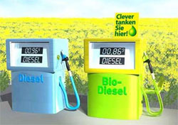 Вчені застрерігають: надмірне захоплення виробництвом біопалива знищить природу Вчені застрерігають: надмірне захоплення виробництвом біопалива знищить природу