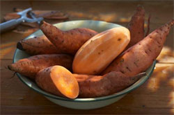 Вчені спробують вирощувати овочі у космосі Вчені спробують вирощувати овочі у космосі