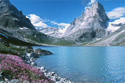 Гренландія почала стрімко виходити з води Гренландія почала стрімко виходити з води