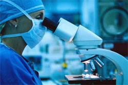 У вічній сибірській мерзлоті знайшли “бацилу безсмертя” У вічній сибірській мерзлоті знайшли “бацилу безсмертя”