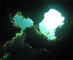 Як зародилося життя на Землі? Як зародилося життя на Землі?