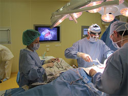 Німецькі вчені вже вміють лікувати органи окремо від організму людини Німецькі вчені вже вміють лікувати органи окремо від організму людини