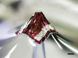 Вчені розробили сонячні батареї товщиною з павутину Вчені розробили сонячні батареї товщиною з павутину