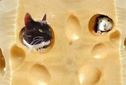 Сирна війна. Росія мовчки не пускає українский сир на свою територію Сирна війна. Росія мовчки не пускає українский сир на свою територію