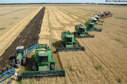 Аграрії сподіваються на непоганий врожай Аграрії сподіваються на непоганий врожай