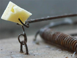 Сирна війна-2. Кремль в черговий раз розвів проФФесіоналів Сирна війна-2. Кремль в черговий раз розвів проФФесіоналів