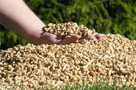 Не газом єдиним... «Енергетичні посіви» України зростають Не газом єдиним... «Енергетичні посіви» України зростають