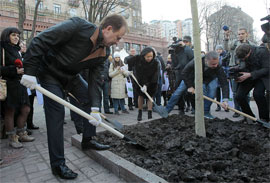 Куди поділися імпортні каштани? А точніше - гроші за них Куди поділися імпортні каштани? А точніше - гроші за них