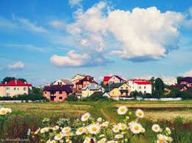 Хроніки дерибану. Чиновники Київщини “косять зелень” з землі під “сінокоси” Хроніки дерибану. Чиновники Київщини “косять зелень” з землі під “сінокоси”