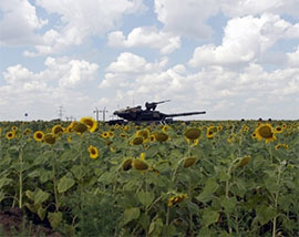 Ситуація на фронті без ускладнень Ситуація на фронті без ускладнень