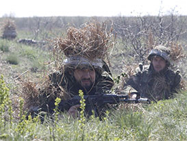 Ситуація на фронті: майже перемир’я Ситуація на фронті: майже перемир’я