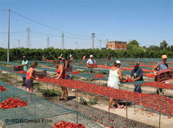 ... люди третього сорту - українці ... люди третього сорту - українці